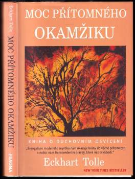 Moc přítomného okamžiku