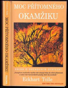 Eckhart Tolle: Moc přítomného okamžiku
