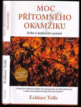 Moc přítomného okamžiku