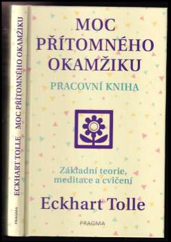 Moc přítomného okamžiku