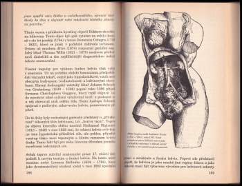 Carmen Thomas: Moč - ta zvláštní šťáva