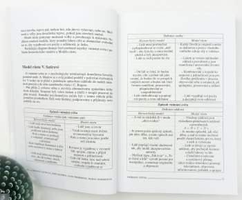 Virginia Satir: Model růstu