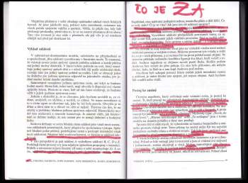 Virginia Satir: Model růstu