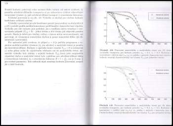 Jiří Maryška: Modelování transportních procesů v horninovém prostředí
