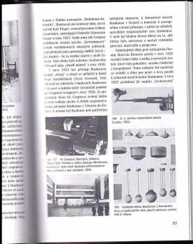 Kenneth Frampton: Moderní architektura