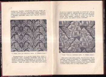 Emil Edgar: Moderní byt