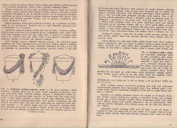 Vlastimil Vaněk: Moderní vazačství květin