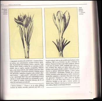 Vladimír Mölzer: Moderní zahrada