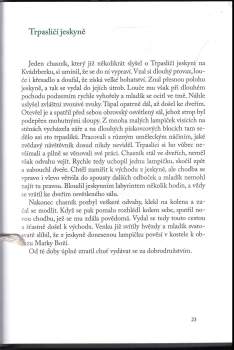 Radek Fridrich: Modroret