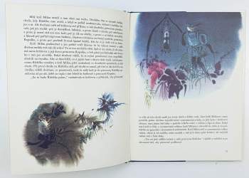 Jan Vladislav: Modrý pták