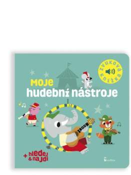 Moje hudební nástroje