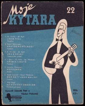 Moje kytara