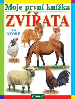 Zvířata na dvoře