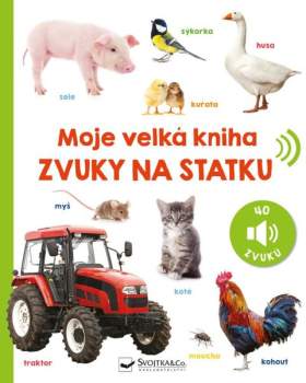 Moje velká kniha