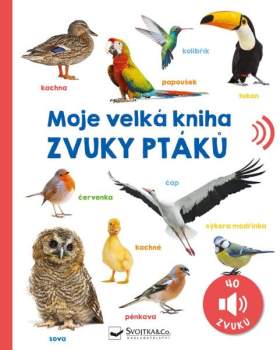 Moje velká kniha