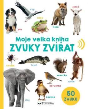 Moje velká kniha