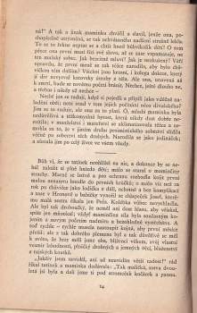 Helena Čapková: Moji milí bratři