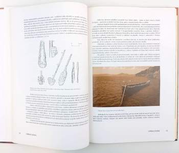 Radomír Tichý: Monoxylon