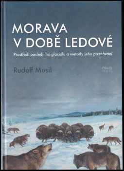 Morava v době ledové
