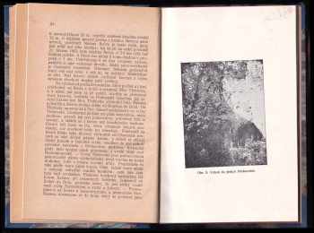 František Skovajsa: Morava