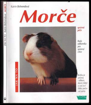 Morče