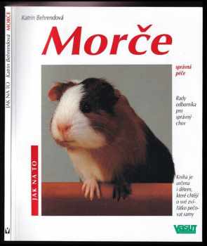 Morče