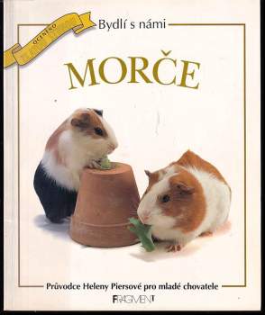Morče