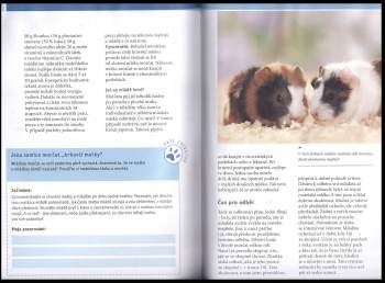 Immanuel Birmelin: Morče