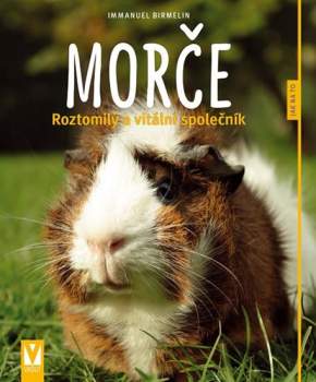 Immanuel Birmelin: Morče