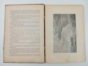 Bohumil Bauše: Moře a jeho tvorstvo