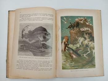 Bohumil Bauše: Moře a jeho tvorstvo