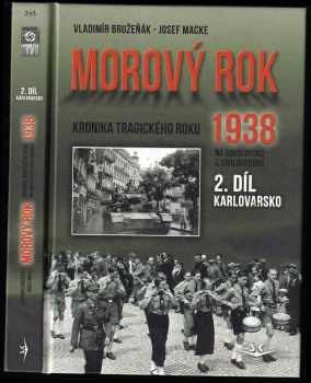 Morový rok