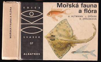 Mořská fauna a flóra
