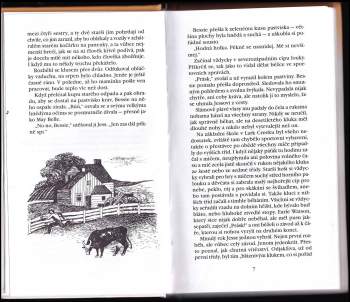 Katherine Paterson: Most do země Terabithia