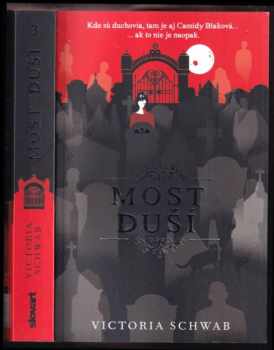 Victoria Schwab: Most duší