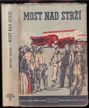 Most nad strží