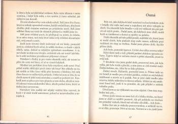 Richard Bach: Most přes navždy