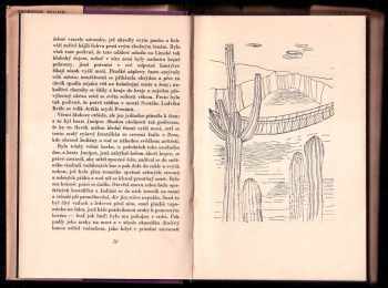 Thornton Wilder: Most svatého Ludvíka krále