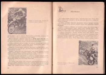 František Dobrý: Motocross