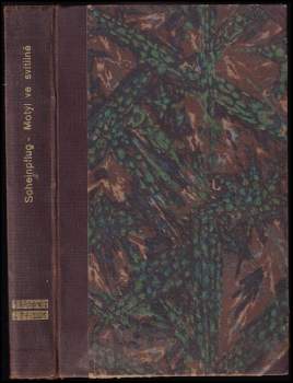 Motýl ve svítilně