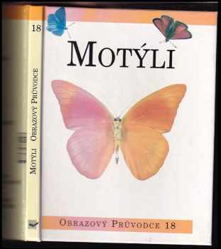 Motýli