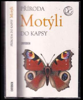 Motýli