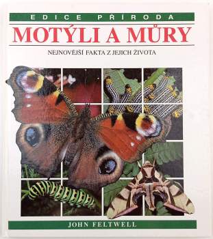 Motýli a můry