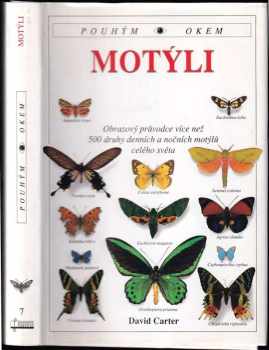 Motýli