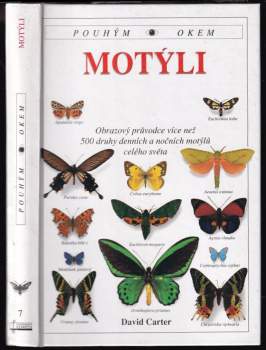 Motýli