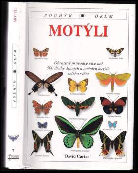 Motýli
