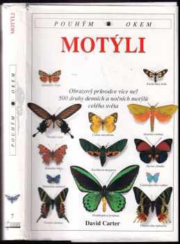 David J Carter: Motýli