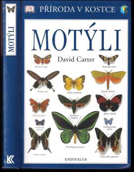 Motýli