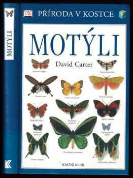 Motýli