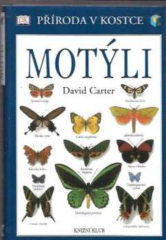Motýli